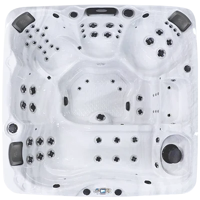 Avalon EC-867L hot tubs for sale in Cranston